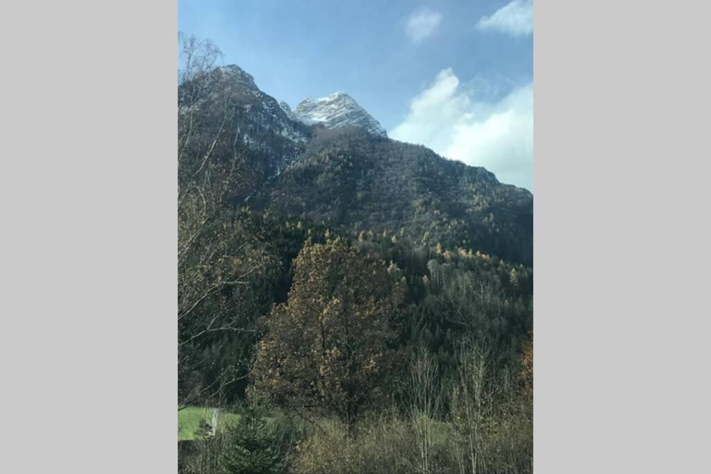 Bergchalet Гінтерштодер Екстер'єр фото