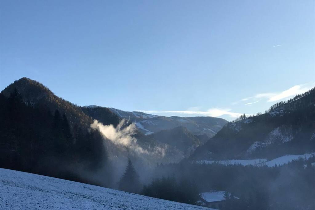 Bergchalet Гінтерштодер Екстер'єр фото